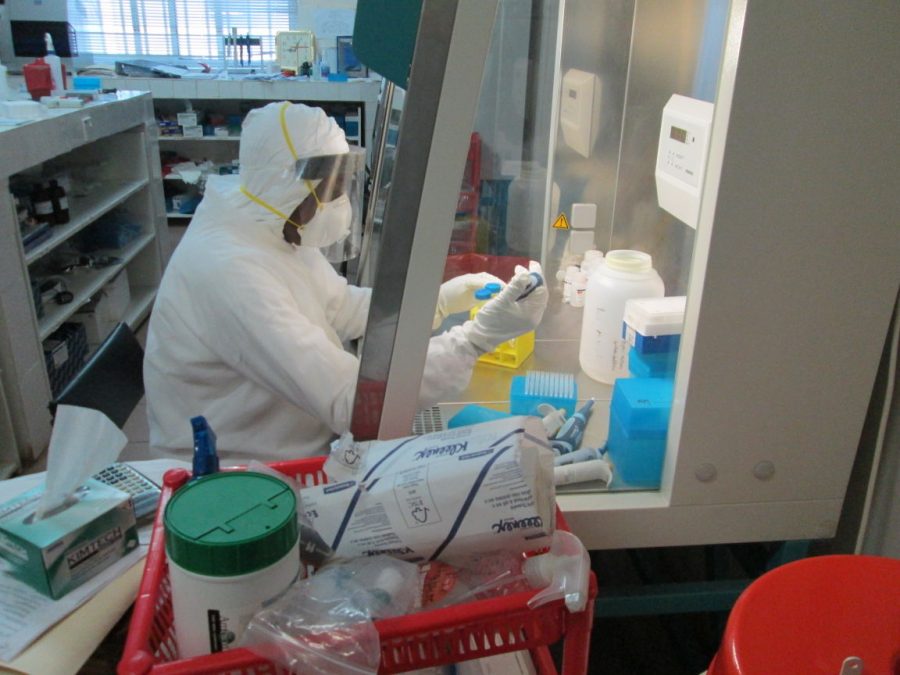 Tulane researcher works to develop 15-minute test for Ebola