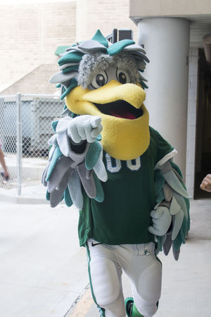 Tulane Green Waves mascot Riptide returns following the disappearance of part of its costume. This season, Riptide will be more integrated into the football experience, potentially performing routines with the cheerleading team.