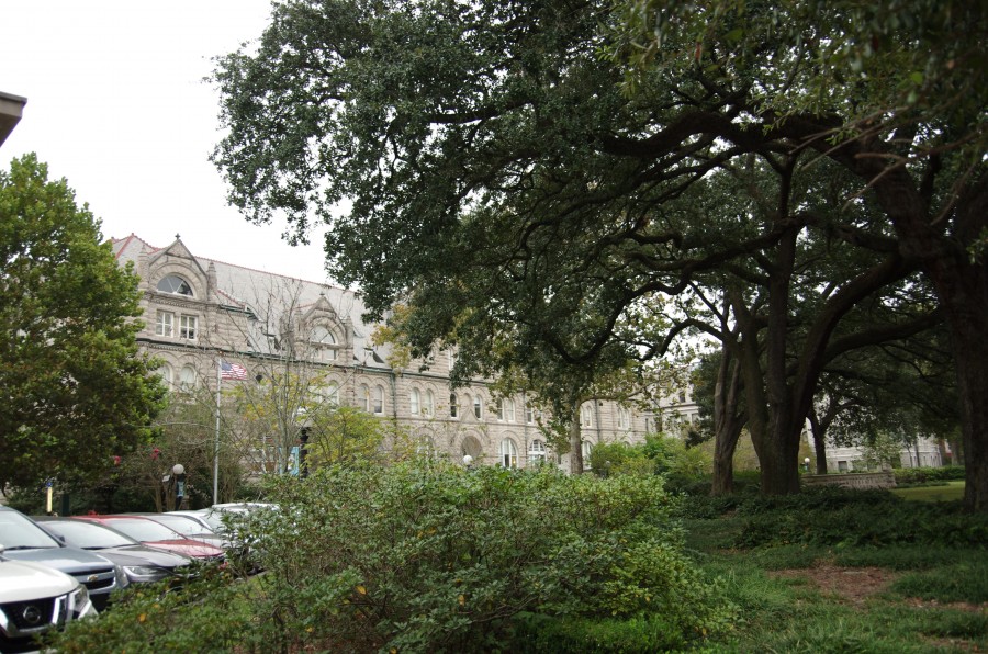 Uprooting tradition: Tulane cuts down historic trees