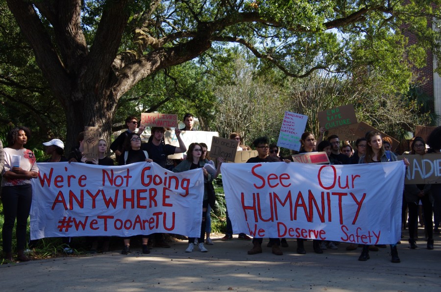 Uprooting tradition: Tulane cuts down historic trees