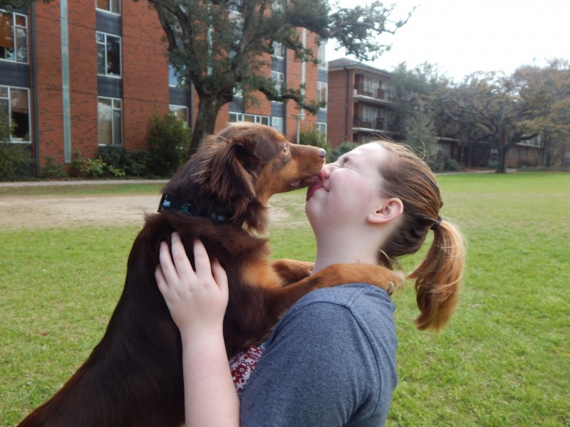 College is ruff: Students discuss perks of owning pets at school