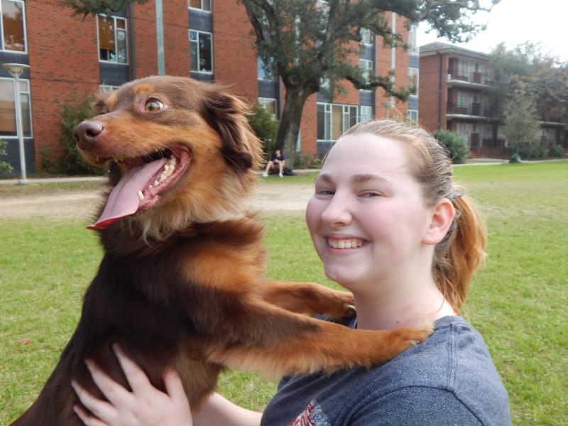 College is ruff: Students discuss perks of owning pets at school