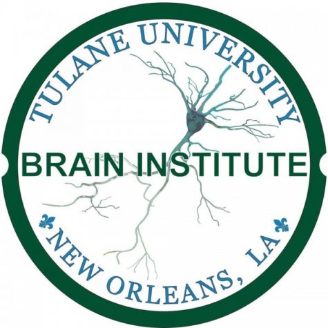 brain institute
