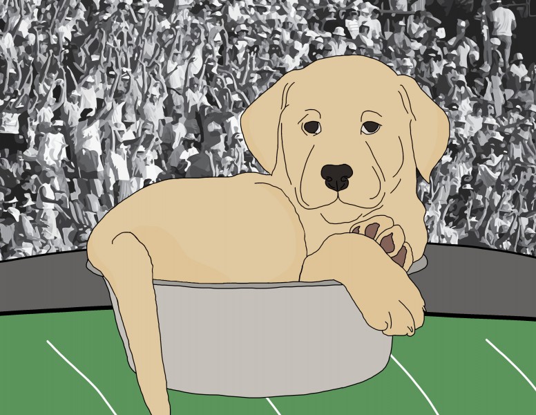 Puppy Bowl’s fetching players make for ruff-est competition of the weekend