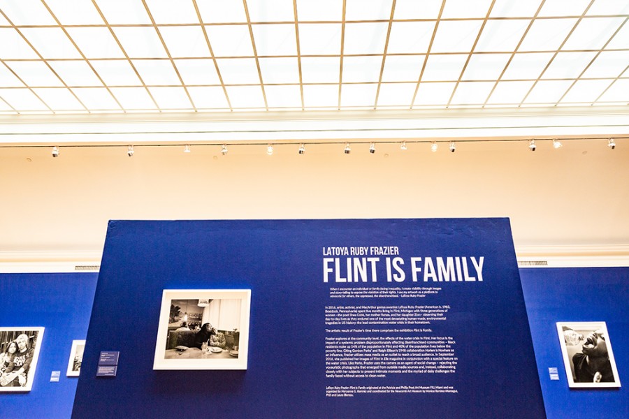 Quiet resistance: Review of “Flint is Family”