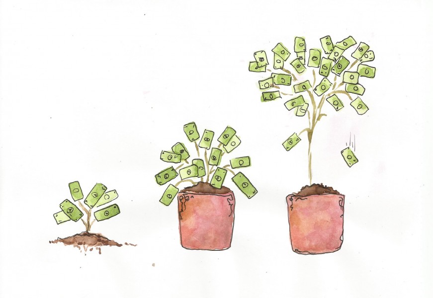 Students can plant financial seeds now which will, over time, grow into prosperous financial portfolios.