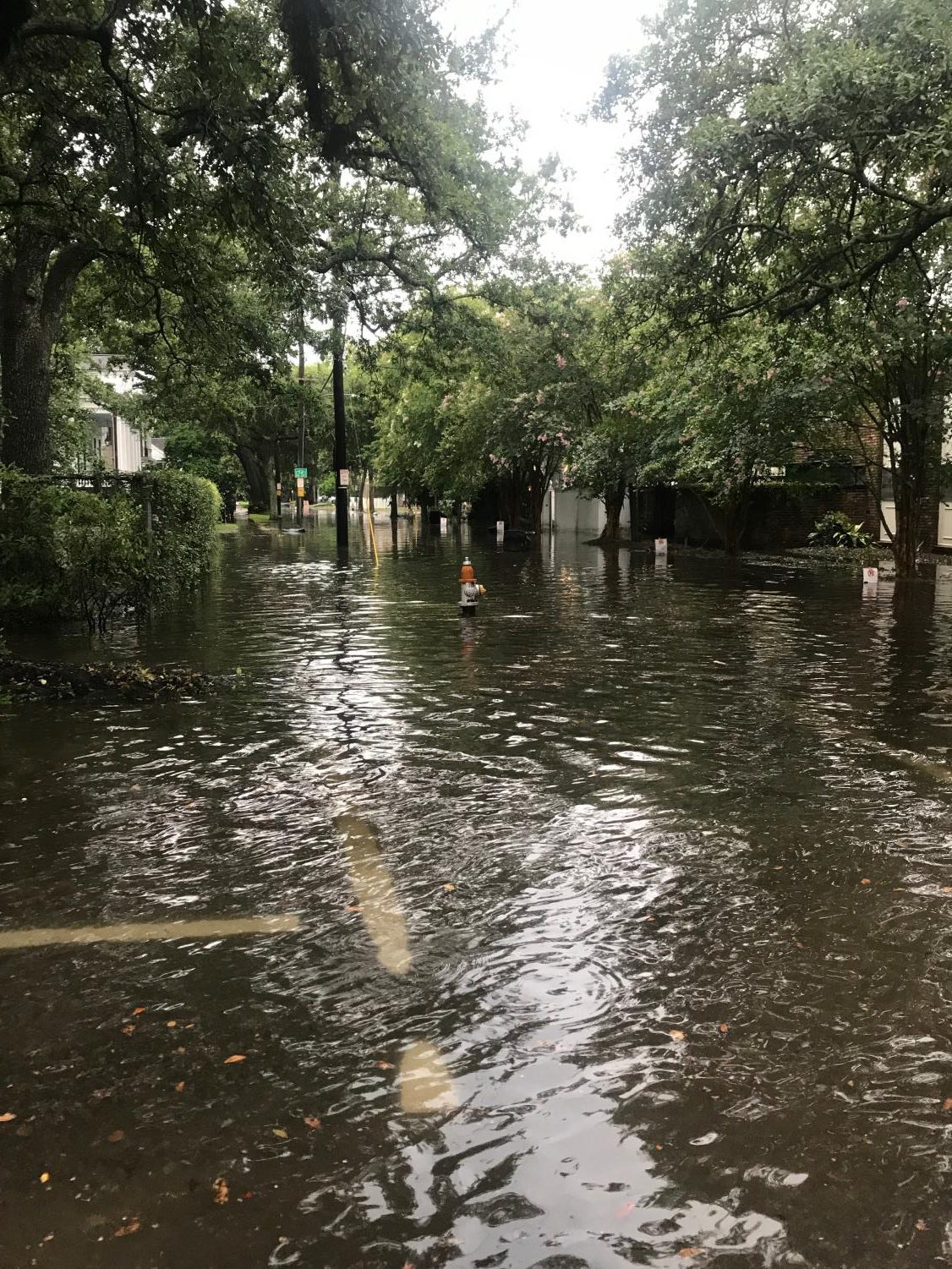 Tulane must seriously prepare for the climate crisis