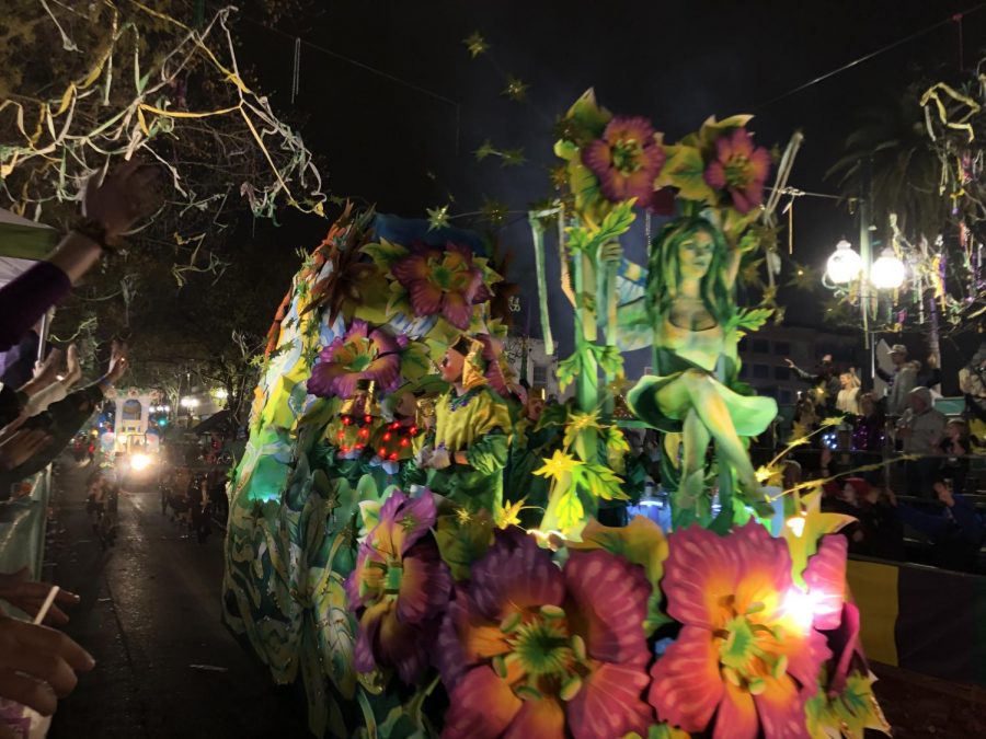 Student perspectives of Mardi Gras celebrations