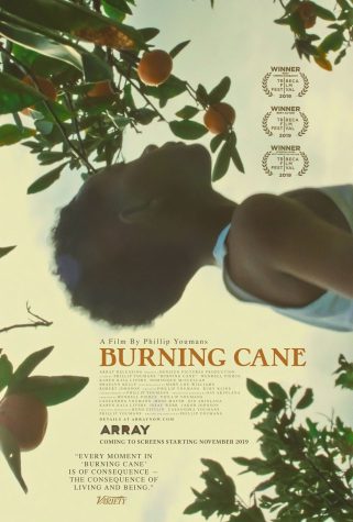 movie poster for phillip youman, a black director's, first feature length film burning cane which has won many awards