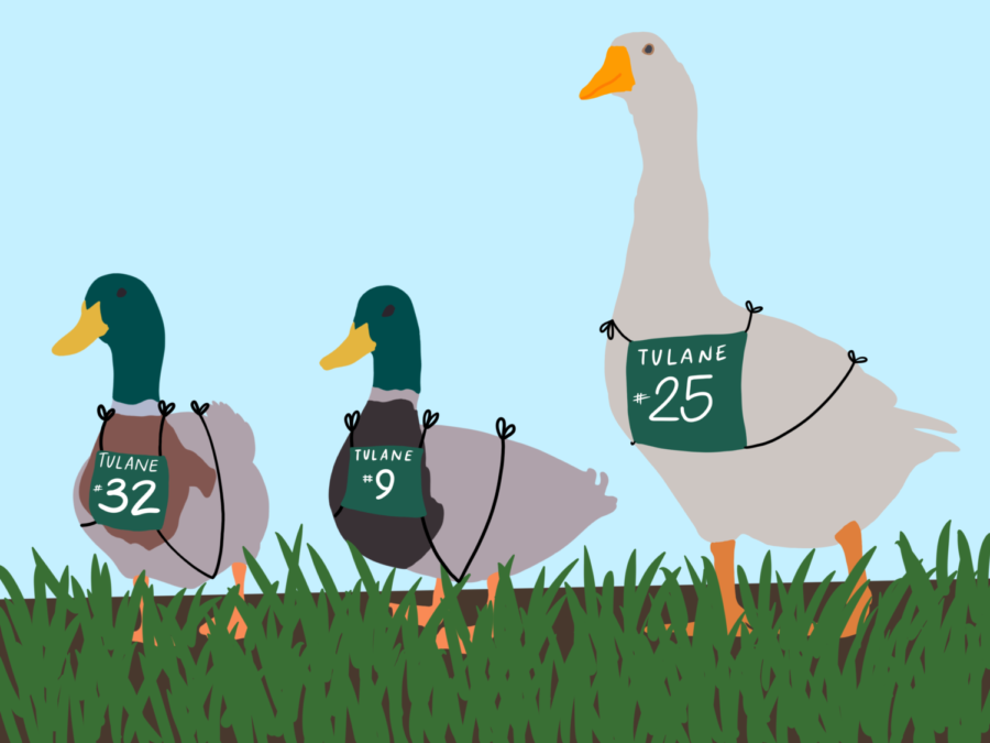 Leaving the lame football program behind, Tulane is set to join a Division I duck, duck, goose league.