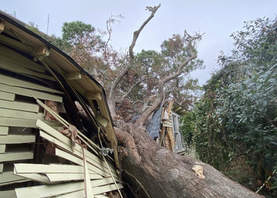 An Uptown home is damaged by a tree downed during a storm. 