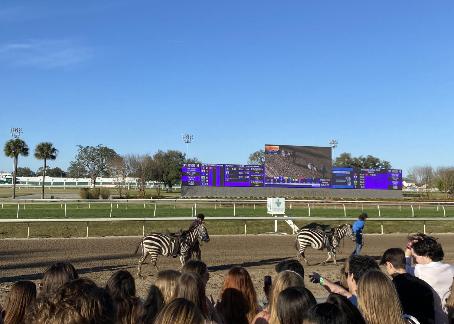 Exotic animal racing event attracts students • The Tulane Hullabaloo