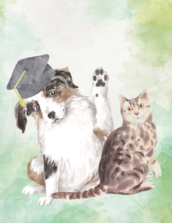 OPINION | Students need maturity to own pets