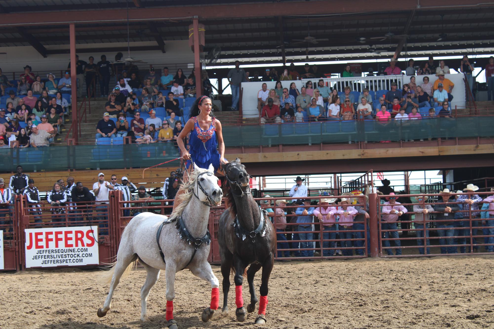 Angola Prison Rodeo: Last vestige of gladiators