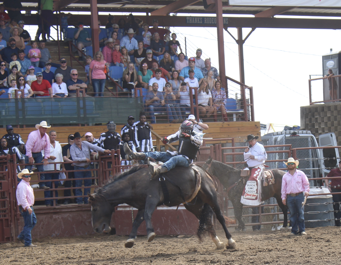 Angola Prison Rodeo: Last vestige of gladiators