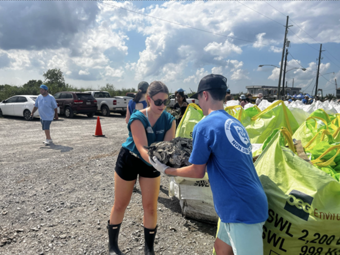 Freshman seminar class helps protect against Louisiana’s coastal erosion