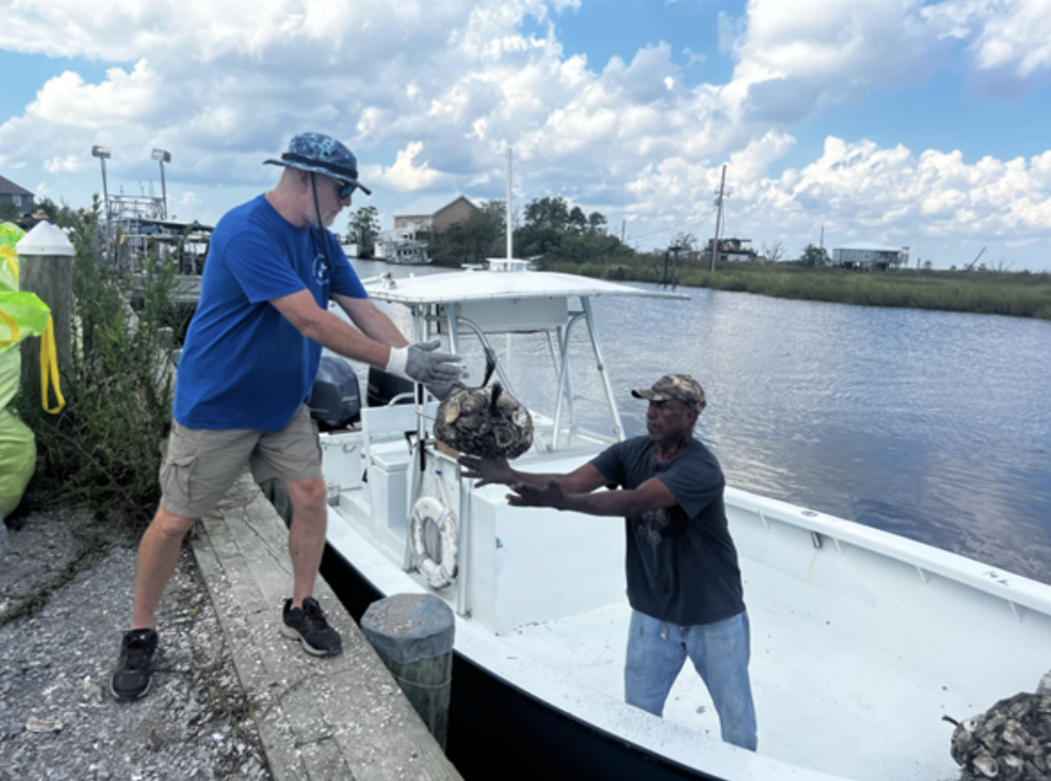 Freshman seminar class helps protect against Louisiana’s coastal erosion