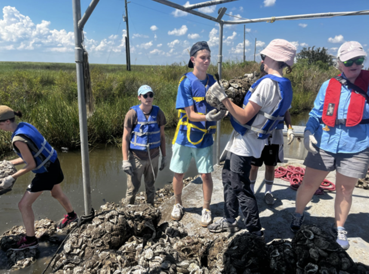 Freshman seminar class helps protect against Louisiana’s coastal erosion