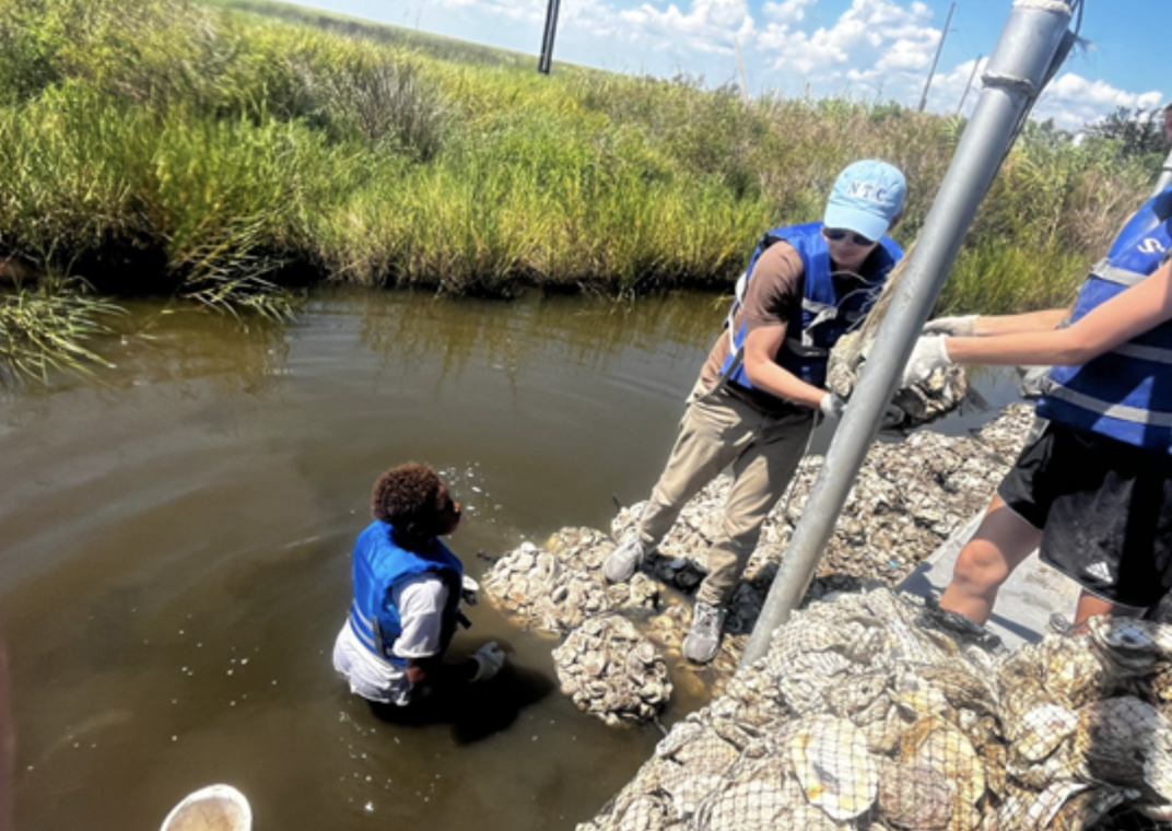 Freshman seminar class helps protect against Louisiana’s coastal erosion