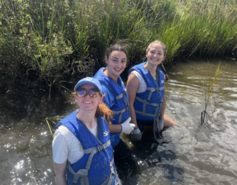 Freshman seminar class helps protect against Louisiana’s coastal erosion