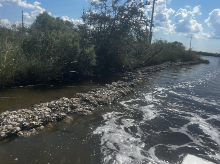 Freshman seminar class helps protect against Louisiana’s coastal erosion