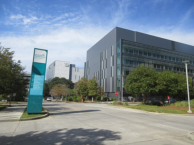 UMC New Orleans nurses go on strike • The Tulane Hullabaloo