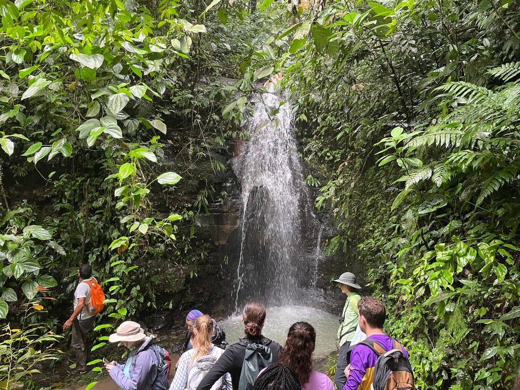 The TIERA program is a hands-on conservation field course in the Choco rainforest of Ecuador. There are two two-week sessions each summer. Photo courtesy of Meryl LaRue