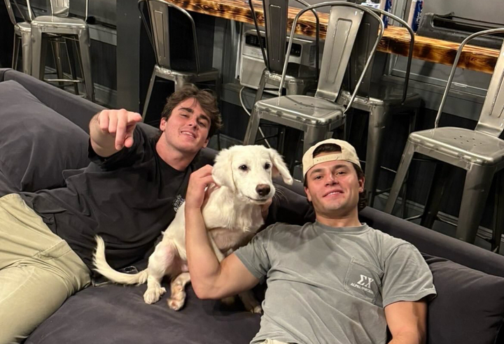 Sigma Chi and other fraternities foster puppies at risk of euthanasia. 