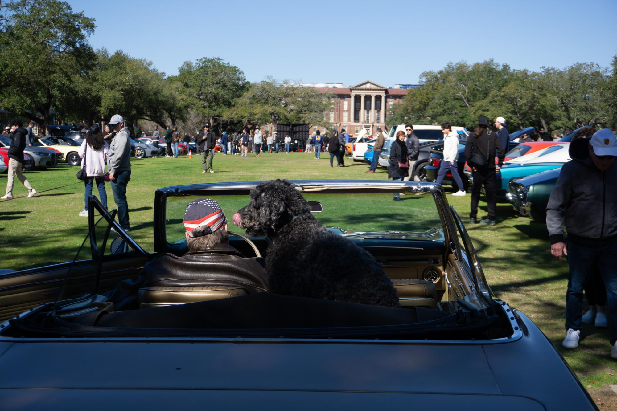 Tulane Formula Racing club president talks alumni, car collection following vintage car show