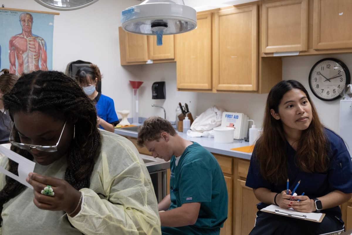 Tulane students work on anatomical drawings.