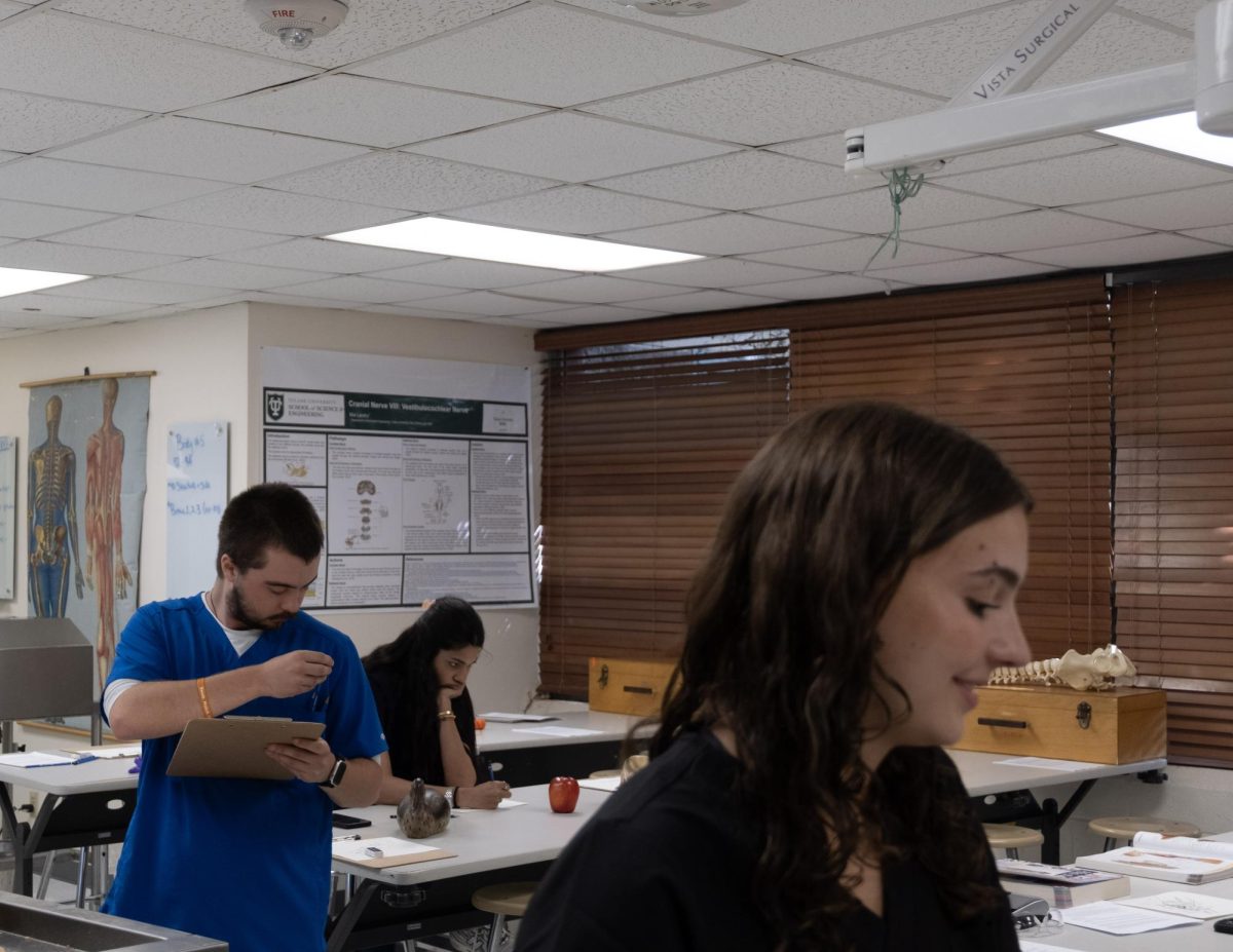 Students work on drawings in the Tulane Center for Anatomical and Movement Sciences.