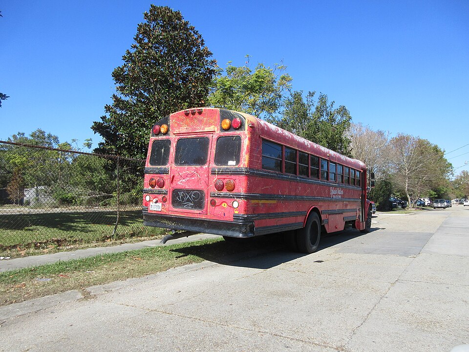 paty bus regulations